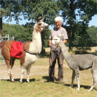 Alpaka Exkl.-Touren
