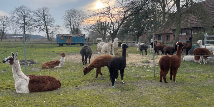 �bernachtung im Zirkuswagen