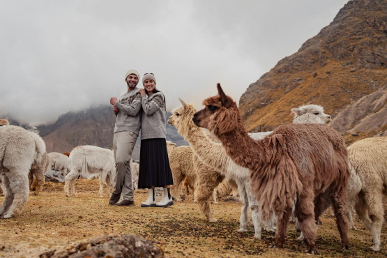 Kuschelige Alpaka Strickjacken