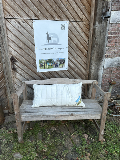 Alpaka Kopfkissen gef�llt mit Alpakak�gelchen 40 x 80 cm