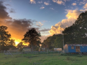 Wochenende auf der Alpakaweide mit Halbpension