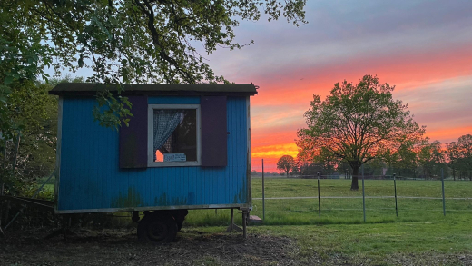 �bernachtung im Sch�ferwagen auf der Weide f�r 1 Person pro Nacht