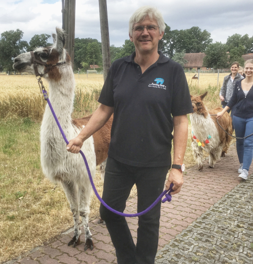 Gutschein Alpaka Wanderung f�r eine Person