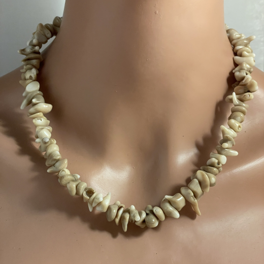 Korallenkette Tigerkoralle Natur