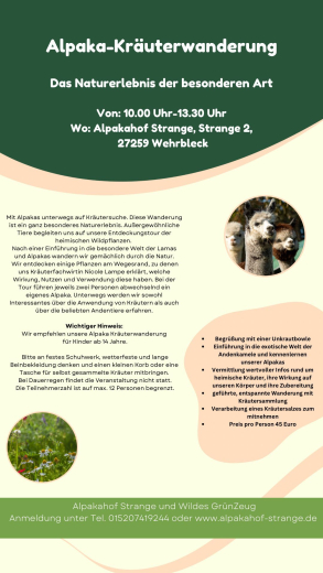 Gutschein Alpaka Kr�uterwanderung am 6.9.2026 mit Nicole Lampe