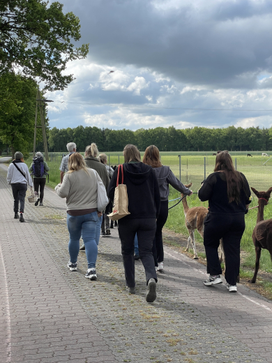 Gutschein Alpaka Wanderung am 14.2.26 um 11 Uhr