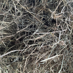 Heupaket 5kg Futterspende