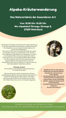 Gutschein Alpaka Kr�uterwanderung am 6.9.2026 mit Nicole Lampe