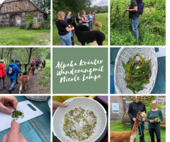 Alpaka Kr�uterwanderung am 23.5.2027